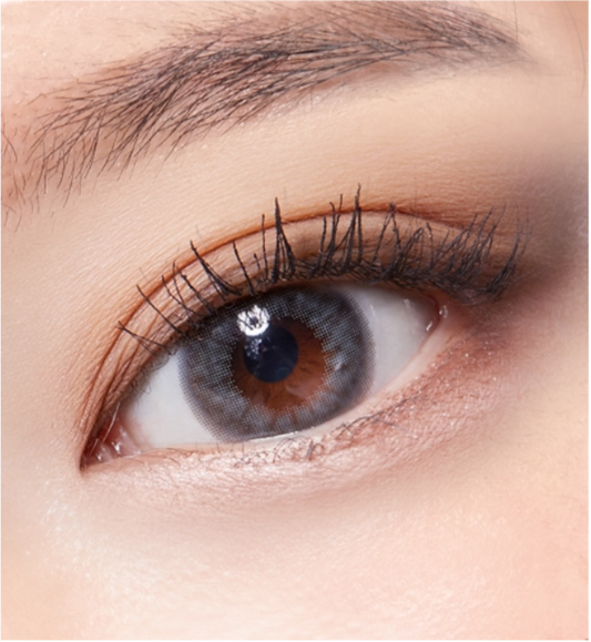 LensTown Lighly Pure Gray | Daily 10 Pairs - STLook