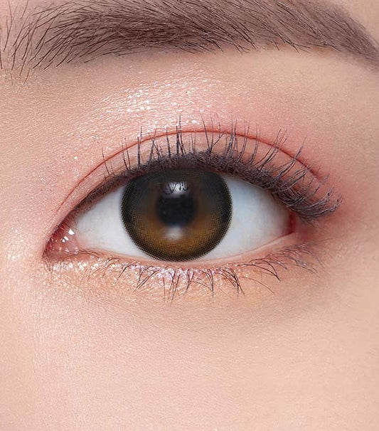 O-Lens Eyelighter Glowy Black | Daily 5 Pairs