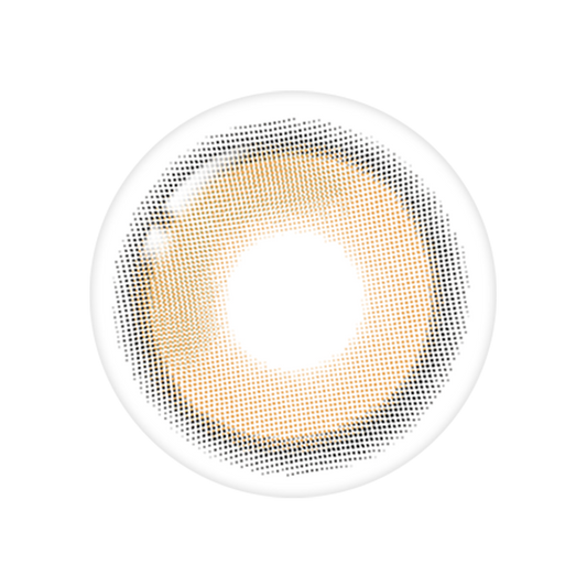 LensTown Beloved Royal Brown | 1 Month