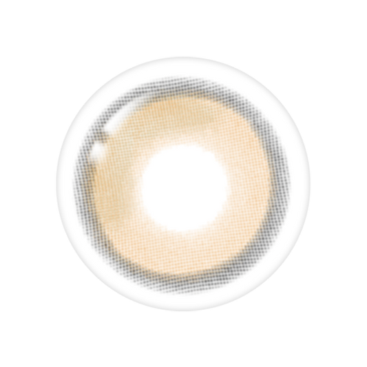 LensTown Beloved Royal Brown | 1 Month