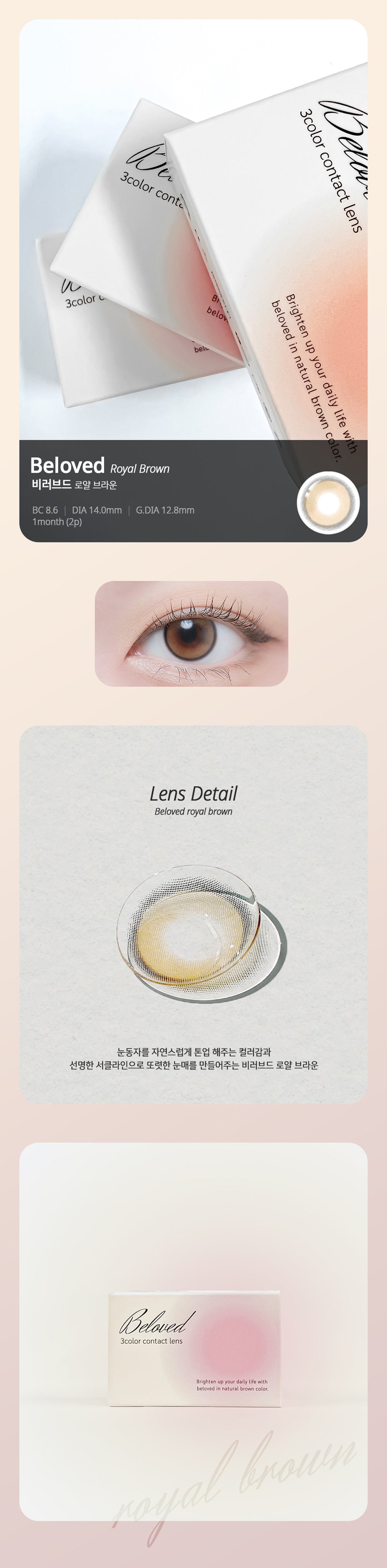 LensTown Beloved Royal Brown | 1 Month