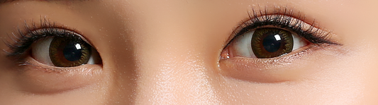 Clalen Iris 1Day Latin Brown | Daily 5 Pairs