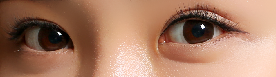 Clalen Iris 1Day Rhapsody Brown | Daily 15 Pairs