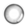 LensMe Fogveil Gray | Daily 5 Pairs