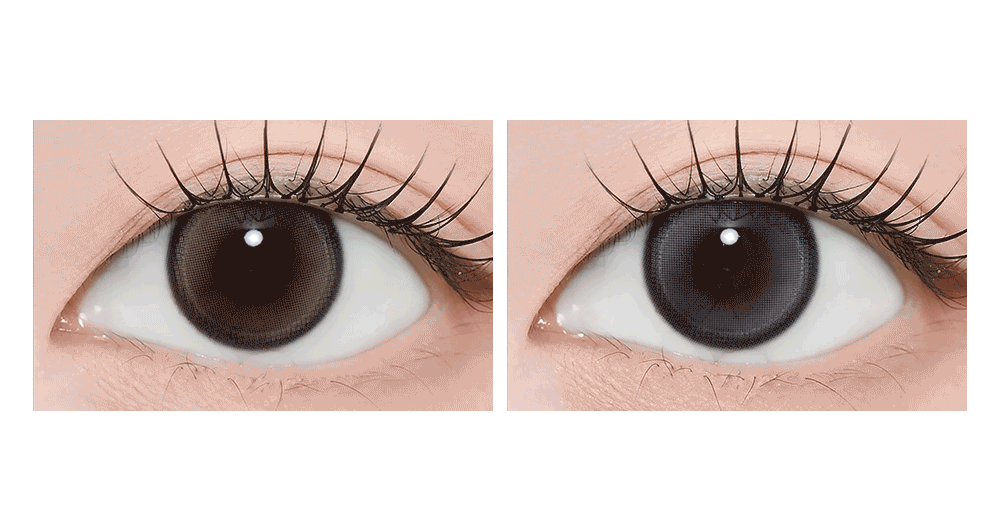 LensMe Fogveil Brown | Daily 5 Pairs
