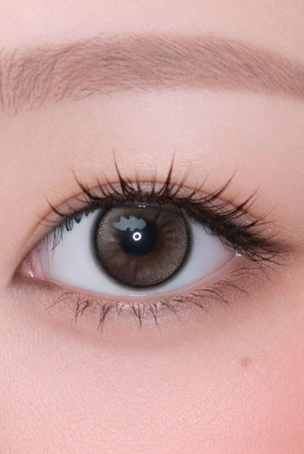 Hapa Kristin Dolly Kristin Beige | Daily 5 Pairs