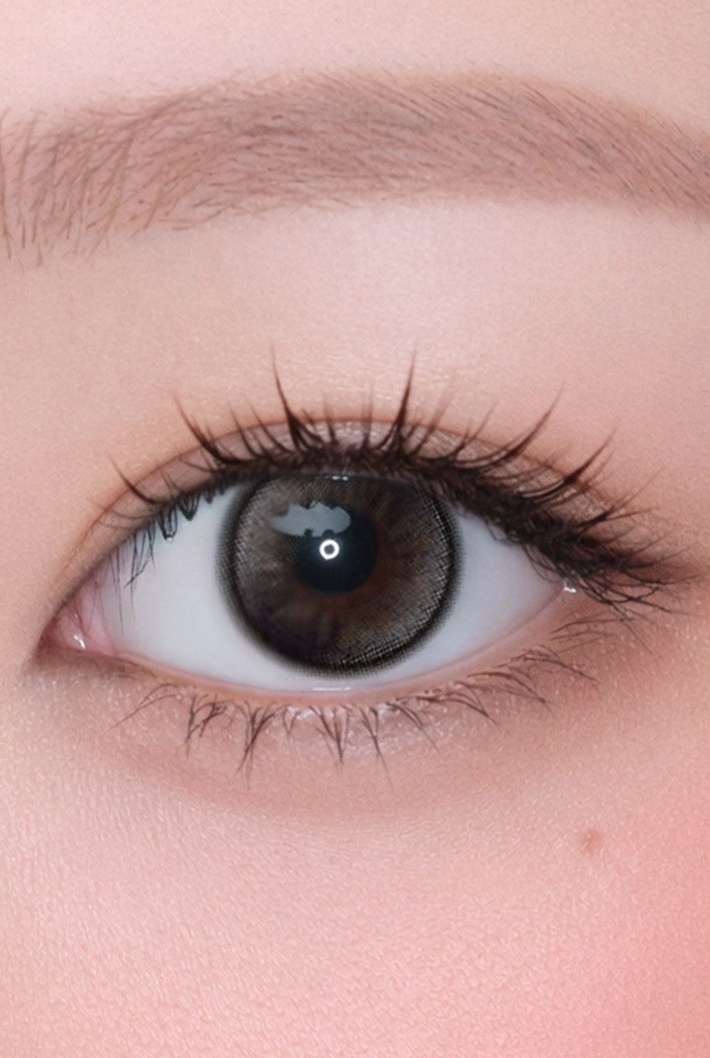 Hapa Kristin Bean Kristin 1Day Raw Brown | Daily 5 Pairs