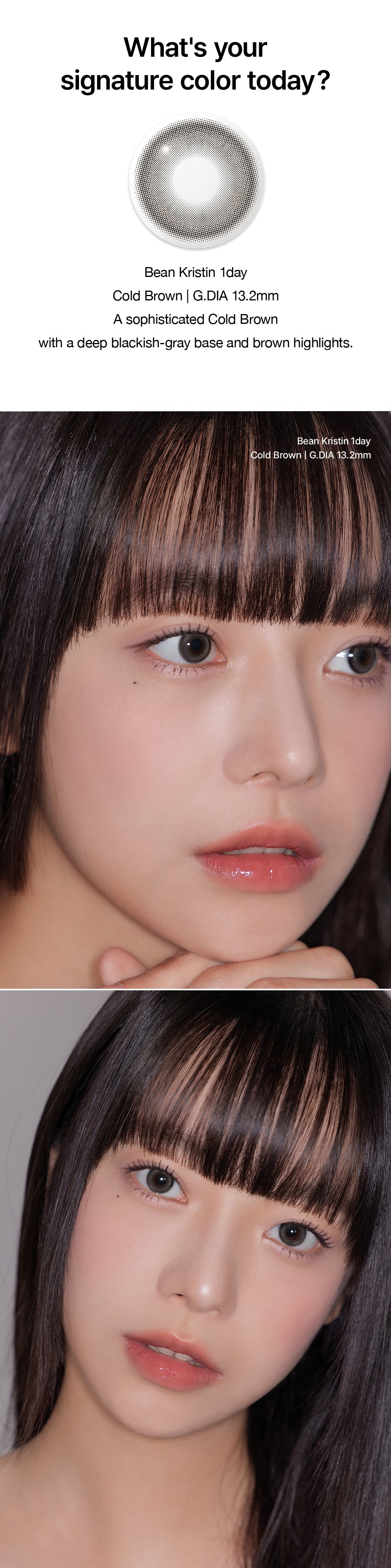 Hapa Kristin Bean Kristin 1Day Cold Brown | Daily 5 Pairs
