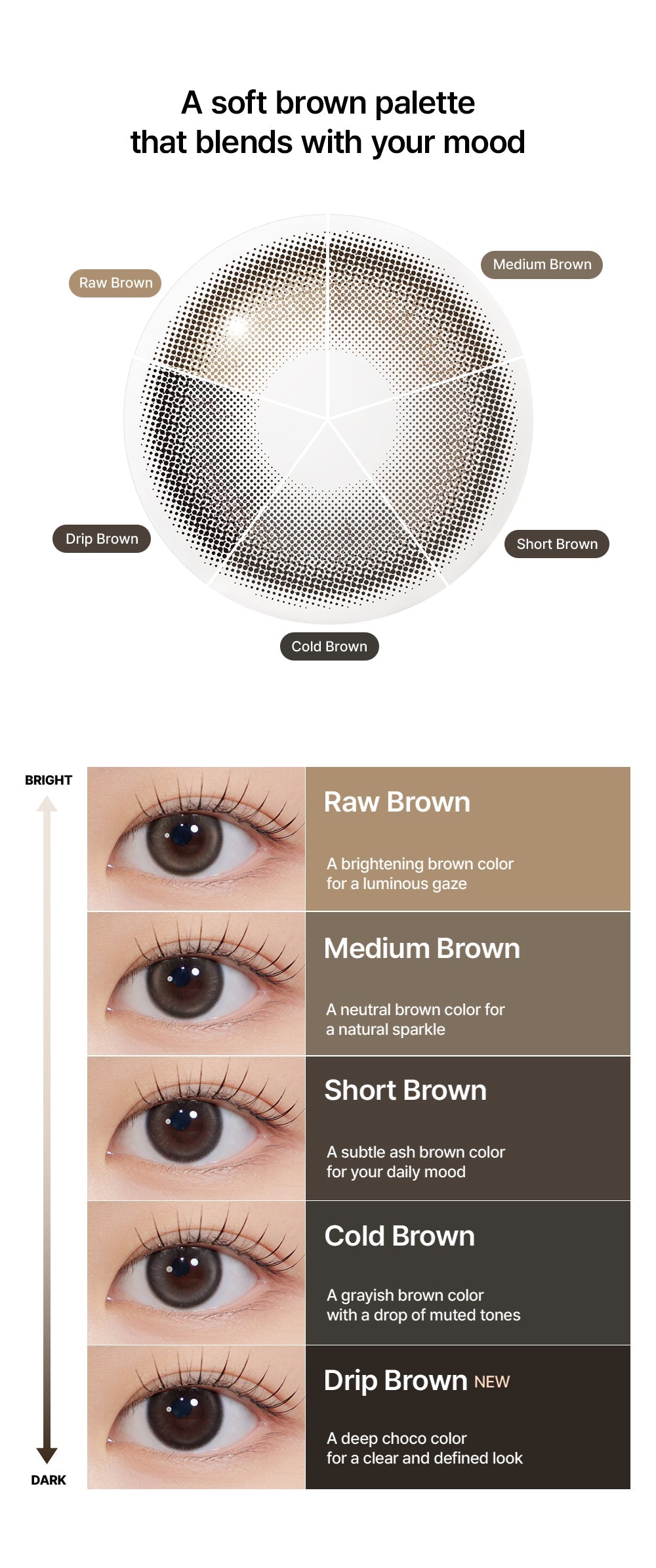 Hapa Kristin Bean Kristin 1Day Medium Brown | Daily 5 Pairs
