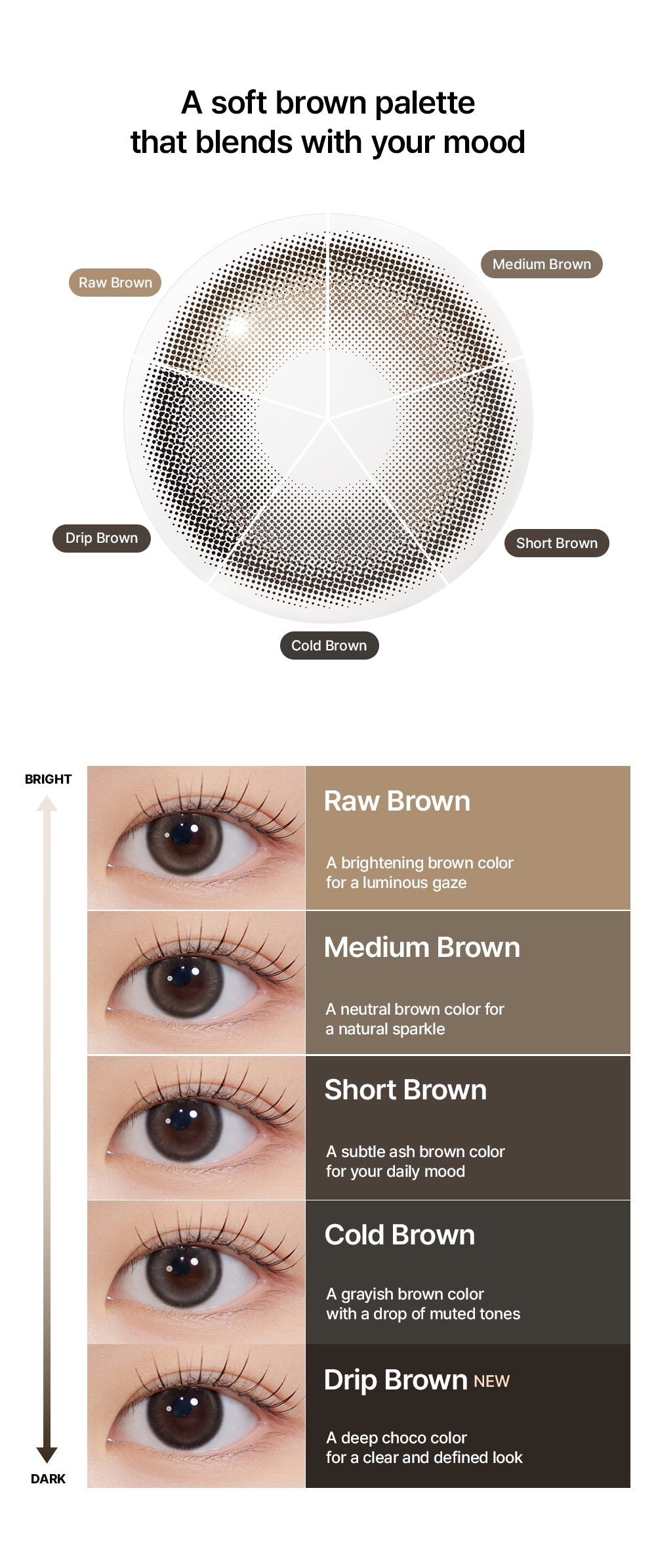Hapa Kristin Bean Kristin 1Day Short Brown | Daily 5 Pairs