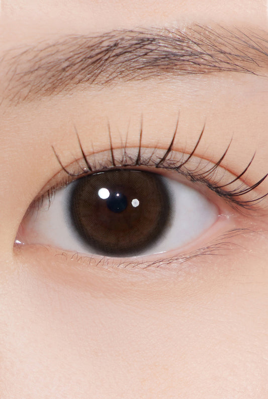 Hapa Kristin Quiet Kristin Glow Brown | Daily 5 Pairs