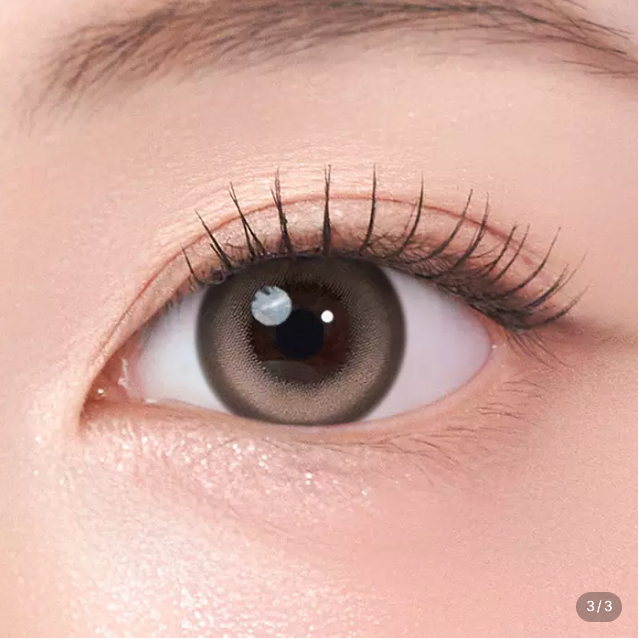 LensTown Keeping Lens Sleek Brown  | Daily 5 Pairs