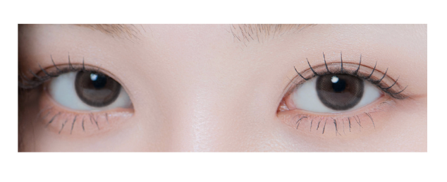 LensMe Pandeia Gray | Daily 5 Pairs