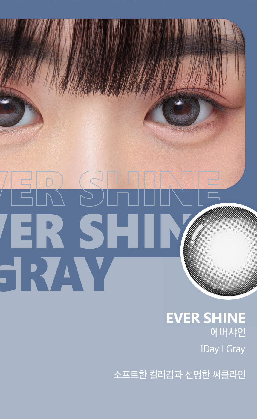 O-Lens Evershine Gray | Daily 10 Pairs