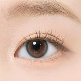 [Ready] I-Dol Lens Eyeis Ash Brown | Daily 5 Pairs