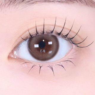 Chuu Lens Milk & Tea Cream Mocha | Daily 5 Pairs