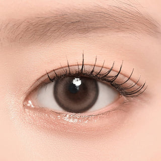 Chuu Lens Milk & Tea Cream Mocha | Daily 5 Pairs
