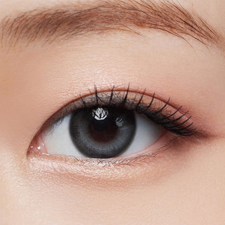 Hapa Kristin One & Only Kristin Light Gray | Daily 5 Pairs