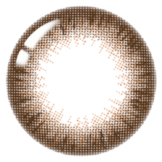 LensTown Lighly Classic Plus Choco | Daily 10 Pairs
