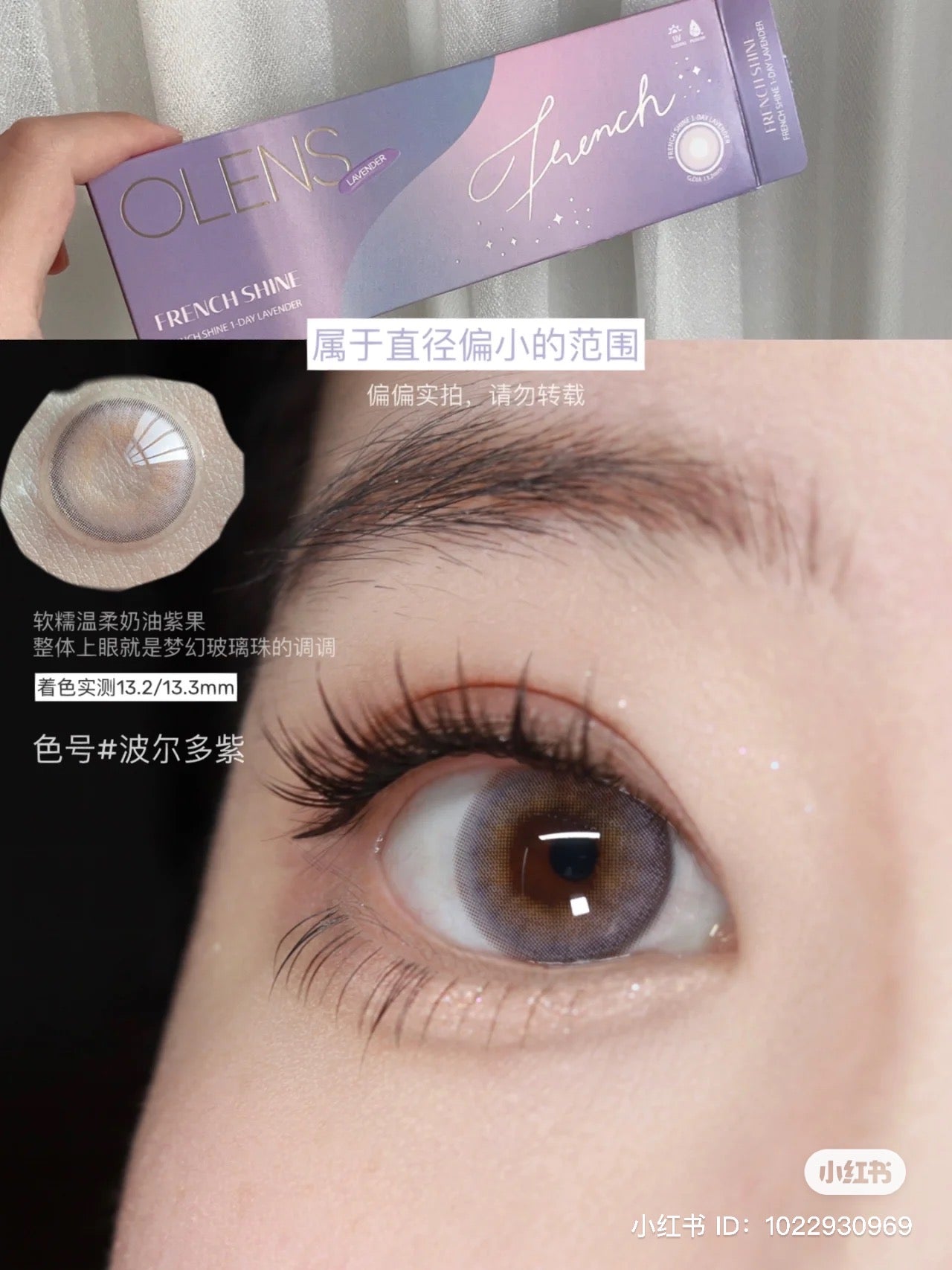 O-Lens French Shine Lavender | Daily 5 Pairs