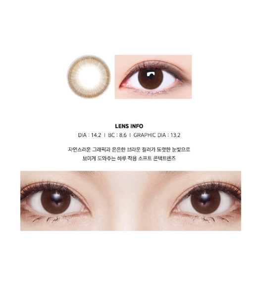 LensMe Monet Classic Brown | Daily 10 Pairs - STLook