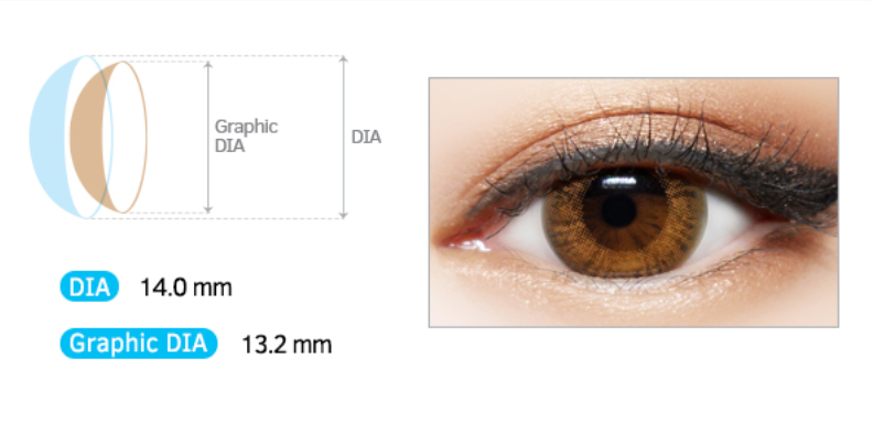 LensMe Brush Hologram Brown | 1 Month - STLook