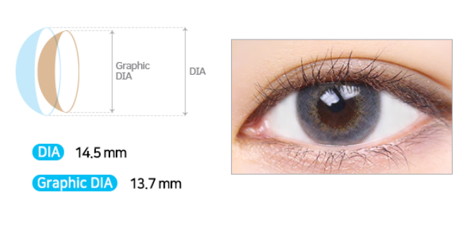 LensMe Shine Ample 3Color Gray | 1 Month