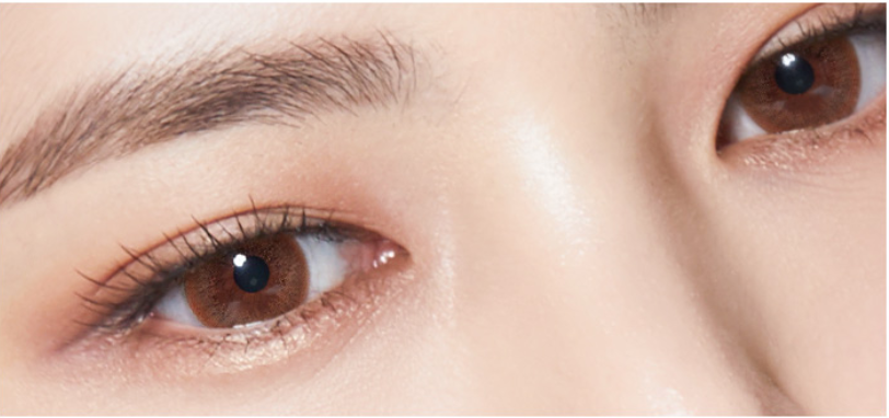 LensTown Lighly Classic Light Brown | Daily 10 Pairs - STLook
