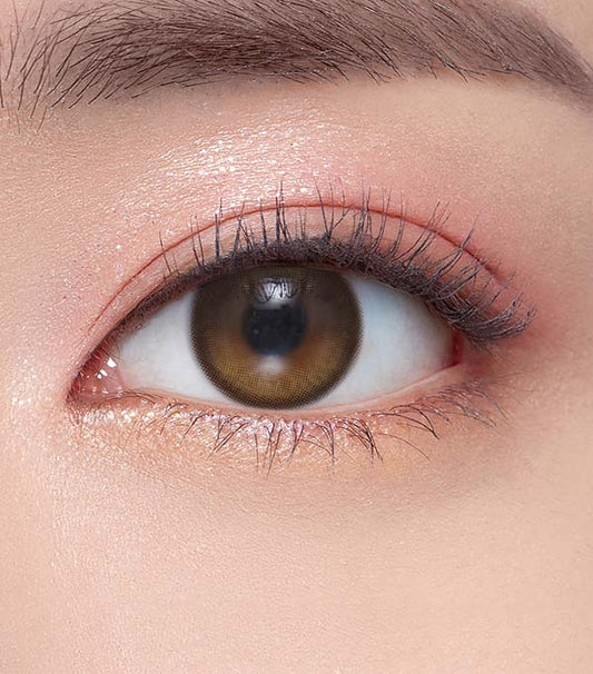 O-Lens Eyelighter Glowy Brown | Daily 10 Pairs