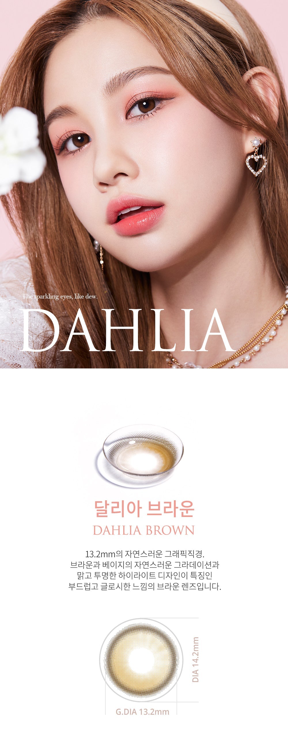 [Ready] O'lola Dahlia Brown | 1 Month